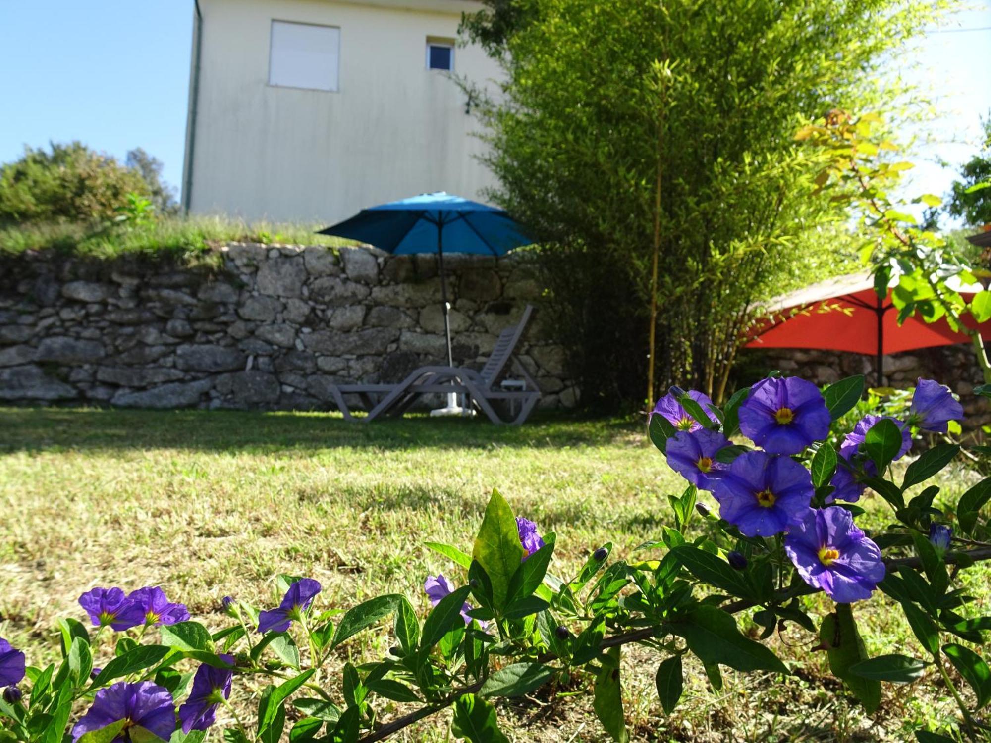 Bed and Breakfast A Casa Com 2 Pereiras Terras de Bouro Exterior foto
